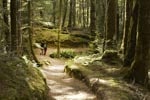 Calm and scerenity on the Kepler Track with Trips and Tramps