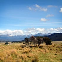 Beautiful views from Mount Prospect.