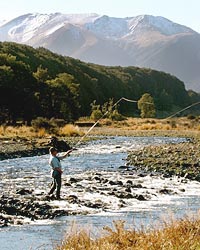 Fishing on the Whitestone River, Te Anau.